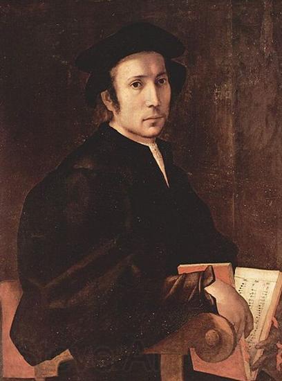 Jacopo Pontormo Portrat eines Musikers Germany oil painting art